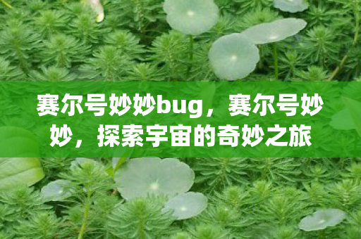 赛尔号妙妙bug，赛尔号妙妙，探索宇宙的奇妙之旅