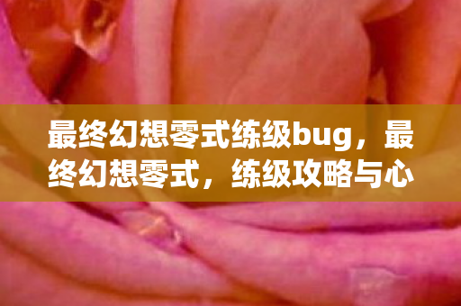 最终幻想零式练级bug，最终幻想零式，练级攻略与心得分享