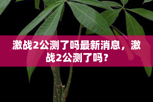 激战2公测了吗最新消息，激战2公测了吗？