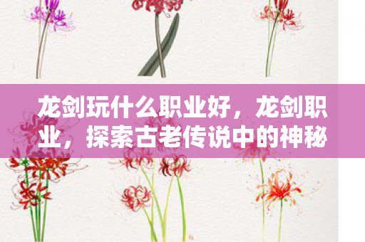 龙剑玩什么职业好，龙剑职业，探索古老传说中的神秘战士
