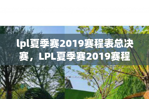 lpl夏季赛2019赛程表总决赛，LPL夏季赛2019赛程表，激情与荣耀的碰撞