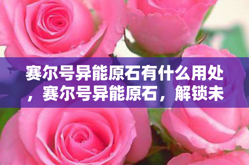 赛尔号异能原石有什么用处，赛尔号异能原石，解锁未知力量的神秘钥匙