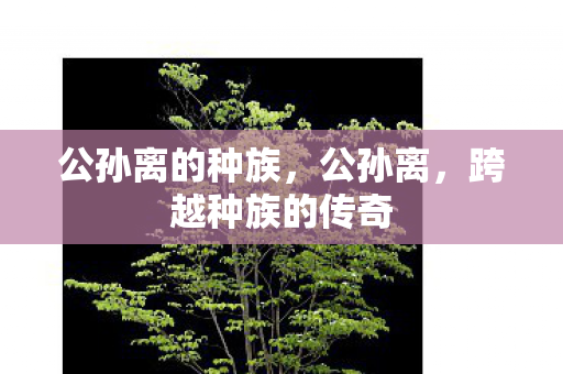 公孙离的种族，公孙离，跨越种族的传奇