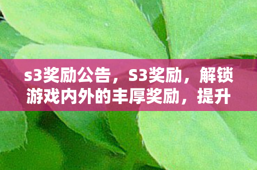 s3奖励公告，S3奖励，解锁游戏内外的丰厚奖励，提升你的游戏体验