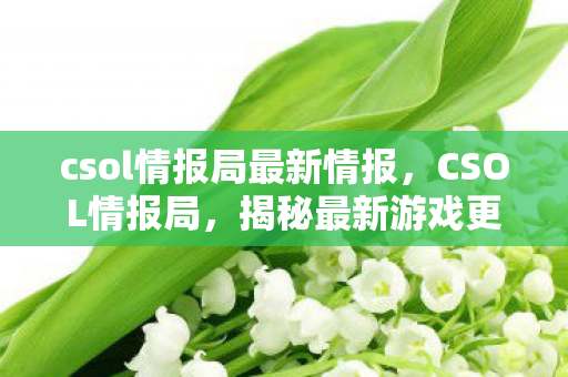 csol情报局最新情报,CSOL情报局,揭秘最新游戏更新与未来趋势 csol情报局最新情报,CSOL情报局,揭秘最新游戏更新与未来趋势