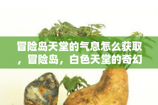 冒险岛天堂的气息怎么获取，冒险岛，白色天堂的奇幻之旅