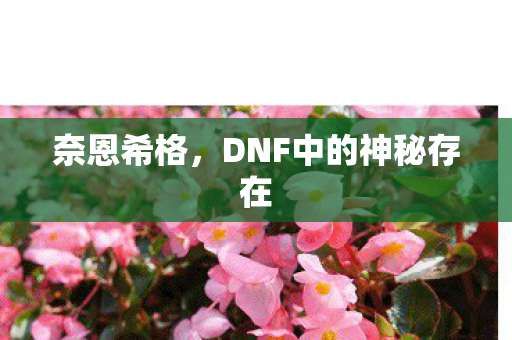 奈恩希格,DNF中的神秘存在 奈恩希格,DNF中的神秘存在