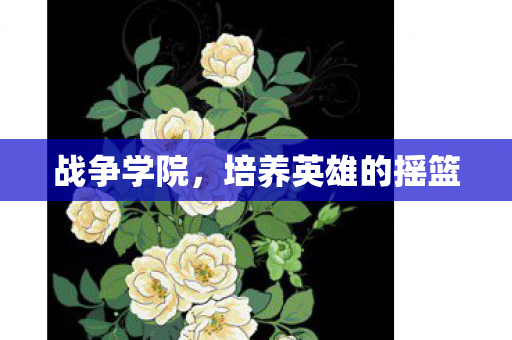 战争学院,培养英雄的摇篮 战争学院,培养英雄的摇篮