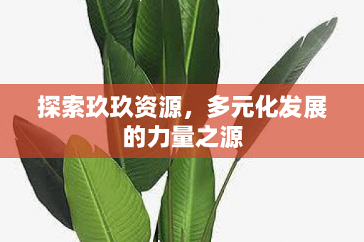 探索玖玖资源,多元化发展的力量之源 探索玖玖资源,多元化发展的力量之源