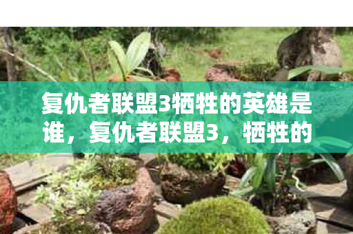 复仇者联盟3牺牲的英雄是谁,复仇者联盟3,牺牲的英雄 复仇者联盟3牺牲的英雄是谁,复仇者联盟3,牺牲的英雄