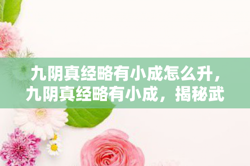 九阴真经略有小成怎么升，九阴真经略有小成，揭秘武侠世界的内功心法
