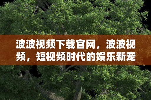 波波视频下载官网,波波视频,短视频时代的娱乐新宠 波波视频下载官网,波波视频,短视频时代的娱乐新宠