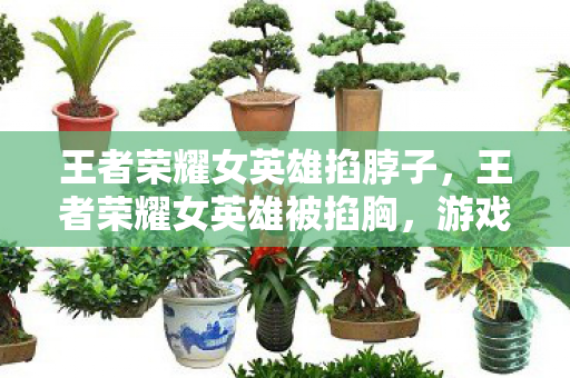 王者荣耀女英雄掐脖子,王者荣耀女英雄被掐胸,游戏文化中的性别歧视与暴力 王者荣耀女英雄掐脖子,王者荣耀女英雄被掐胸,游戏文化中的性别歧视与暴力