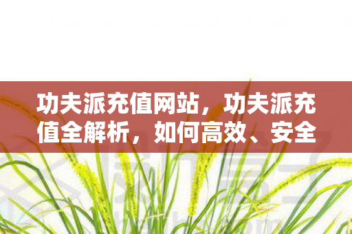 功夫派充值网站，功夫派充值全解析，如何高效、安全地充值并获取更多游戏资源