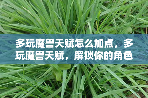 多玩魔兽天赋怎么加点，多玩魔兽天赋，解锁你的角色潜能