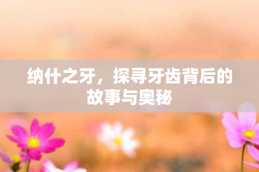 纳什之牙,探寻牙齿背后的故事与奥秘 纳什之牙,探寻牙齿背后的故事与奥秘