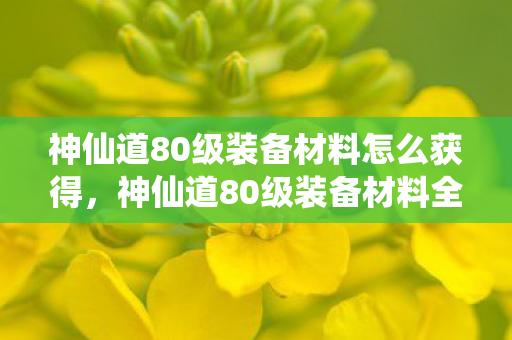 神仙道80级装备材料怎么获得,神仙道80级装备材料全解析 神仙道80级装备材料怎么获得,神仙道80级装备材料全解析