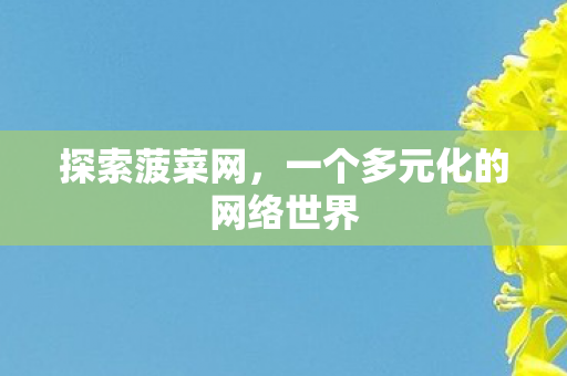 探索菠菜网,一个多元化的网络世界 探索菠菜网,一个多元化的网络世界