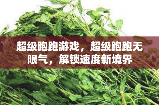 超级跑跑游戏,超级跑跑无限气,解锁速度新境界 超级跑跑游戏,超级跑跑无限气,解锁速度新境界