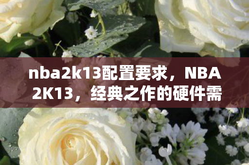 nba2k13配置要求,NBA 2K13,经典之作的硬件需求解析 nba2k13配置要求,NBA 2K13,经典之作的硬件需求解析