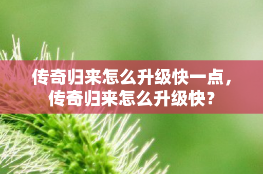 传奇归来怎么升级快一点,传奇归来怎么升级快? 传奇归来怎么升级快一点,传奇归来怎么升级快?
