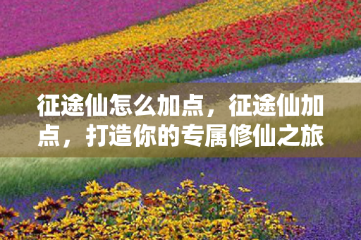 征途仙怎么加点,征途仙加点,打造你的专属修仙之旅 征途仙怎么加点,征途仙加点,打造你的专属修仙之旅