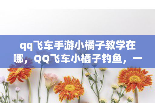qq飞车手游小橘子教学在哪，QQ飞车小橘子钓鱼，一场虚拟与现实的奇妙邂逅