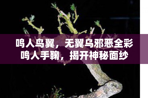 鸣人鸟翼，无翼乌邪恶全彩鸣人手鞠，揭开神秘面纱
