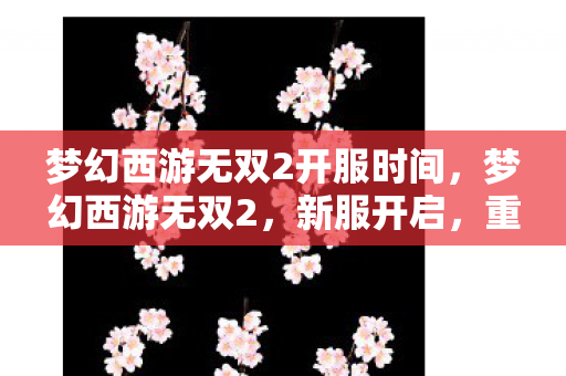 梦幻西游无双2开服时间,梦幻西游无双2,新服开启,重温经典,再续前缘 梦幻西游无双2开服时间,梦幻西游无双2,新服开启,重温经典,再续前缘