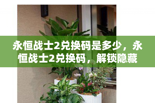 永恒战士2兑换码是多少，永恒战士2兑换码，解锁隐藏奖励的秘籍
