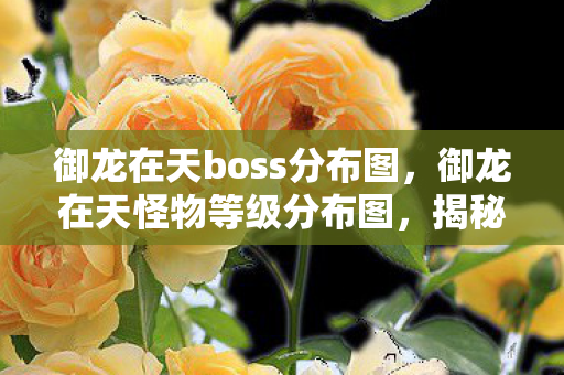御龙在天boss分布图，御龙在天怪物等级分布图，揭秘游戏中的生态与策略