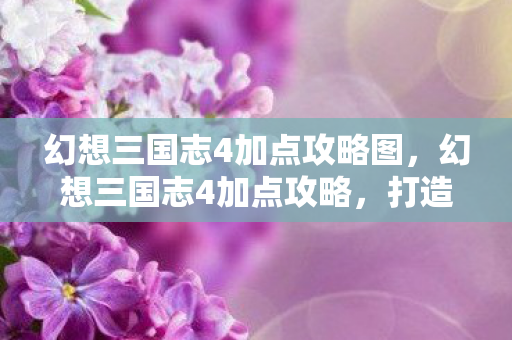 幻想三国志4加点攻略图，幻想三国志4加点攻略，打造最强角色，征服三国乱世