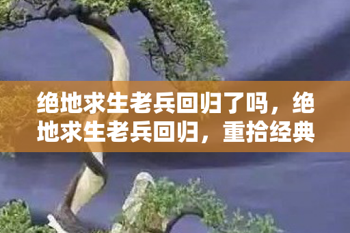 绝地求生老兵回归了吗，绝地求生老兵回归，重拾经典，再战沙场