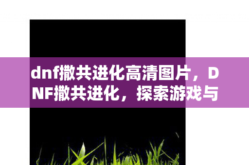 dnf撒共进化高清图片，DNF撒共进化，探索游戏与社区共生的奇妙旅程