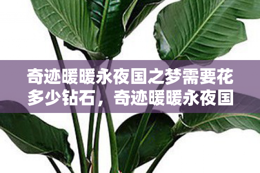 奇迹暖暖永夜国之梦需要花多少钻石,奇迹暖暖永夜国之梦 奇迹暖暖永夜国之梦需要花多少钻石,奇迹暖暖永夜国之梦