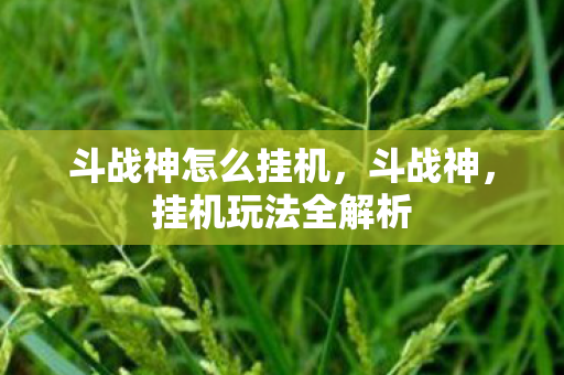 斗战神怎么挂机,斗战神,挂机玩法全解析 斗战神怎么挂机,斗战神,挂机玩法全解析