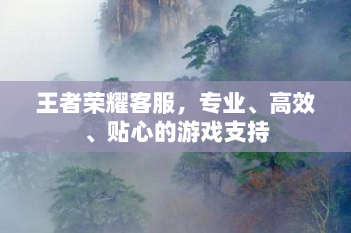 王者荣耀客服,专业、高效、贴心的游戏支持 王者荣耀客服,专业、高效、贴心的游戏支持