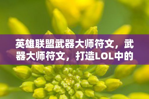 英雄联盟武器大师符文,武器大师符文,打造LOL中的终极战士 英雄联盟武器大师符文,武器大师符文,打造LOL中的终极战士