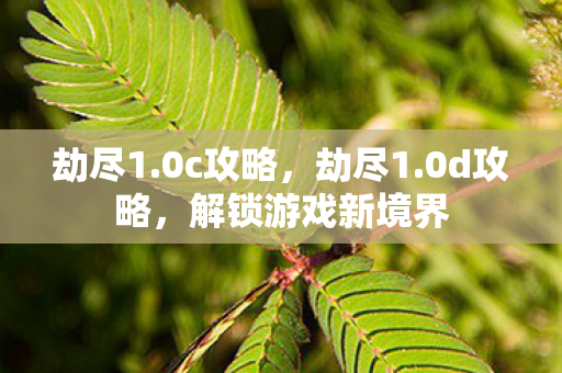劫尽1.0c攻略,劫尽1.0d攻略,解锁游戏新境界 劫尽1.0c攻略,劫尽1.0d攻略,解锁游戏新境界