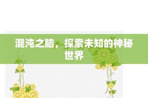 混沌之脑,探索未知的神秘世界 混沌之脑,探索未知的神秘世界