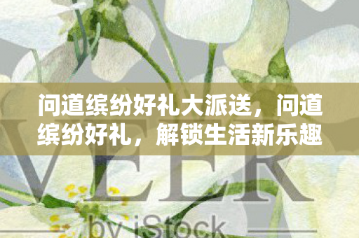 问道缤纷好礼大派送，问道缤纷好礼，解锁生活新乐趣