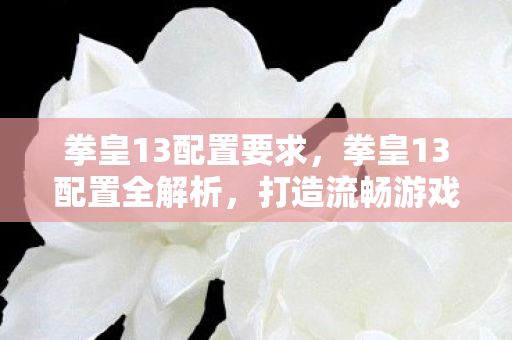 拳皇13配置要求,拳皇13配置全解析,打造流畅游戏体验 拳皇13配置要求,拳皇13配置全解析,打造流畅游戏体验