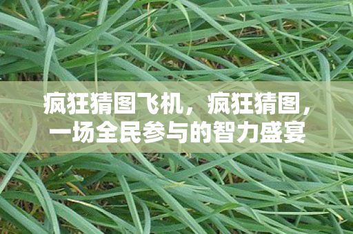 疯狂猜图飞机,疯狂猜图,一场全民参与的智力盛宴 疯狂猜图飞机,疯狂猜图,一场全民参与的智力盛宴