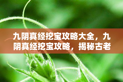 九阴真经挖宝攻略大全,九阴真经挖宝攻略,揭秘古老宝藏的寻宝之旅 九阴真经挖宝攻略大全,九阴真经挖宝攻略,揭秘古老宝藏的寻宝之旅