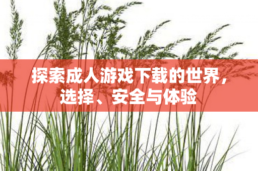 探索成人游戏下载的世界,选择、安全与体验 探索成人游戏下载的世界,选择、安全与体验
