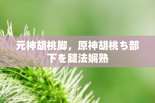元神胡桃脚，原神胡桃ち部下を腿法娴熟