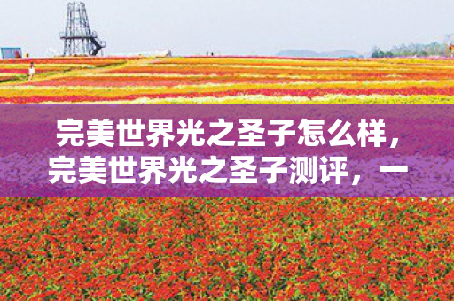 完美世界光之圣子怎么样,完美世界光之圣子测评,一场视觉与心灵的双重盛宴 完美世界光之圣子怎么样,完美世界光之圣子测评,一场视觉与心灵的双重盛宴