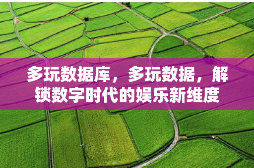 多玩数据库,多玩数据,解锁数字时代的娱乐新维度 多玩数据库,多玩数据,解锁数字时代的娱乐新维度