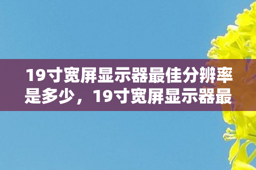 19寸宽屏显示器最佳分辨率是多少,19寸宽屏显示器最佳分辨率,打造完美视觉体验 19寸宽屏显示器最佳分辨率是多少,19寸宽屏显示器最佳分辨率,打造完美视觉体验