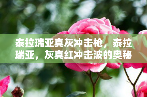 泰拉瑞亚真灰冲击枪,泰拉瑞亚,灰真红冲击波的奥秘 泰拉瑞亚真灰冲击枪,泰拉瑞亚,灰真红冲击波的奥秘